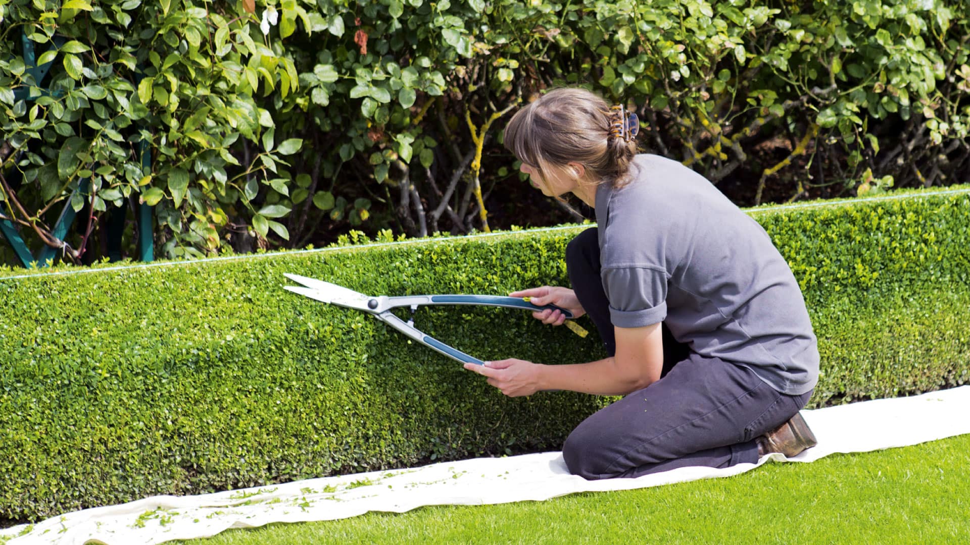 Business Property Garden Maintenance - a woman trimming flower beds, showcasing professional garden care.